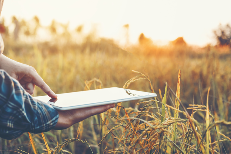 Fundamentarea tehnico-economică a costurilor de producţie şi estimări privind preţurile de valorificare ale principalelor produse vegetale și animale, obținute în sistem convențional și în agricultura ecologică