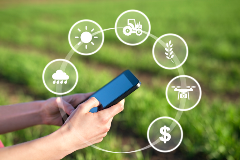 Direcţii de cercetare